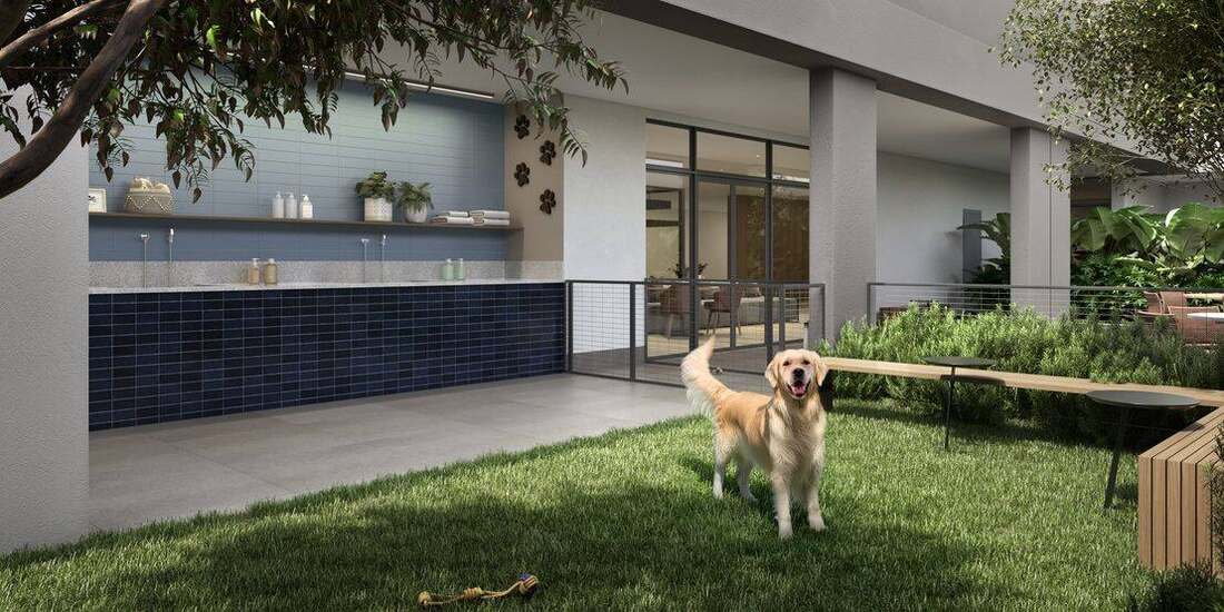 Pet care