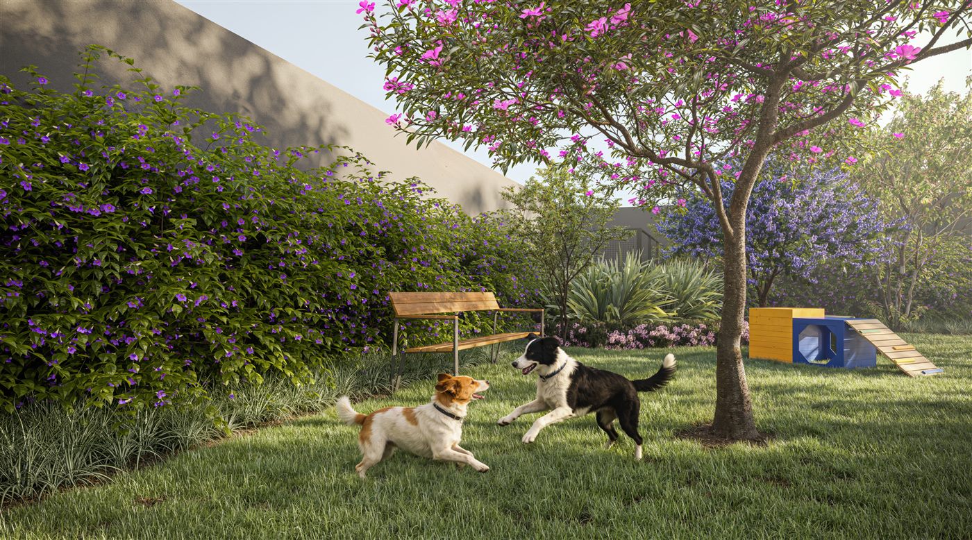 Pet Place
